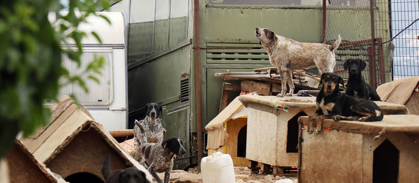 Not in my backyard! 1