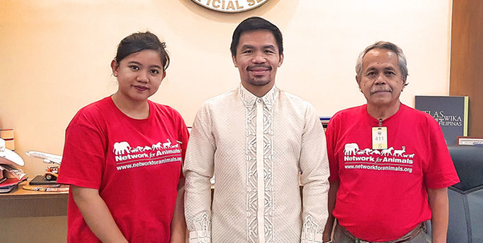Boxing legend Manny Pacquiao to fight against the dog meat trade