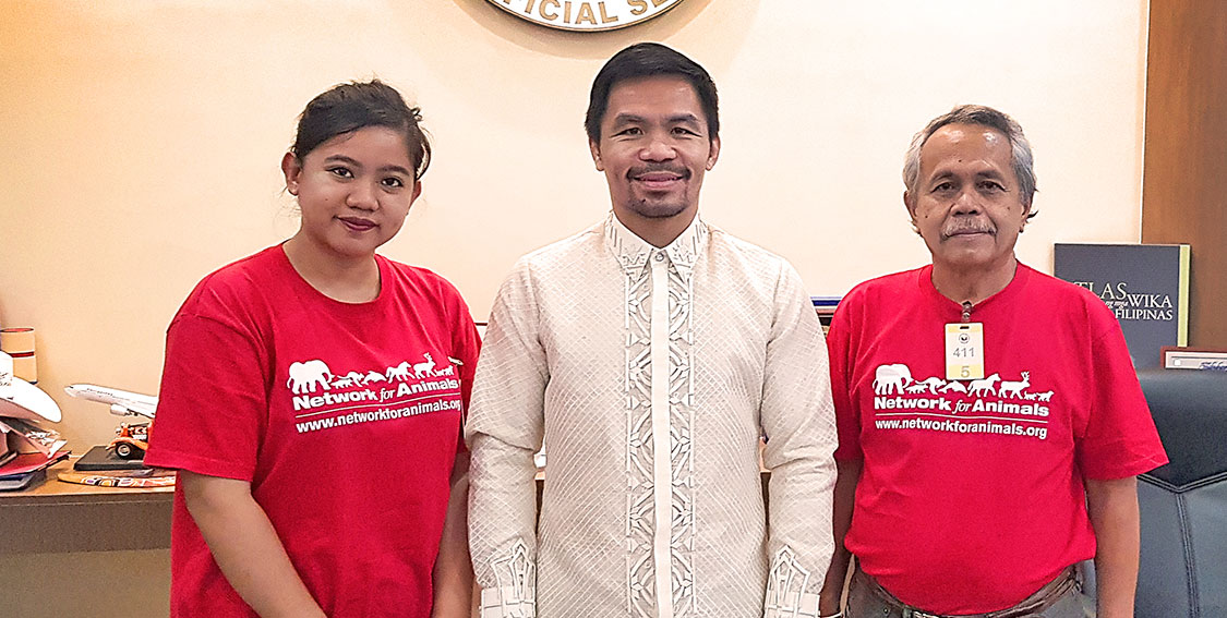 Boxing legend Manny Pacquiao to fight against the dog meat trade 3