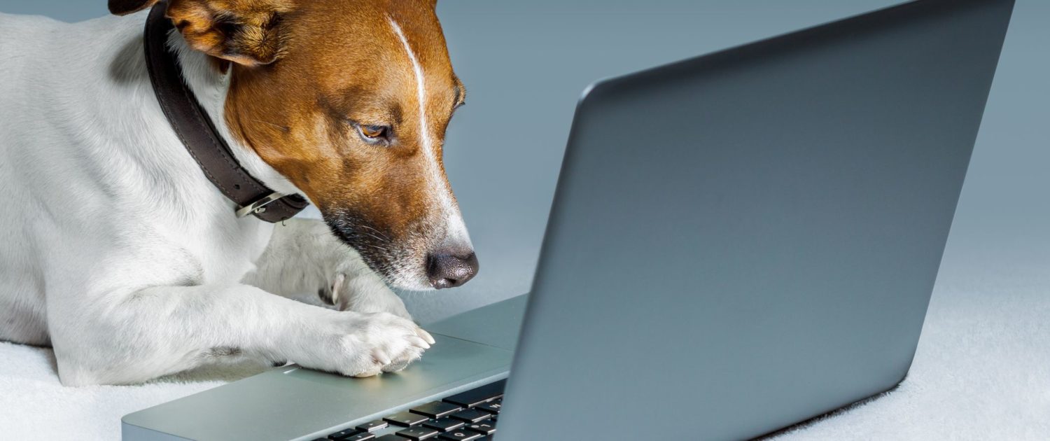 Receive PAL news in your inbox 1