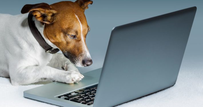 Receive PAL news in your inbox