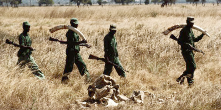 PAL-Poachers Elephant Poachers