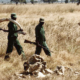 Elephant Poachers