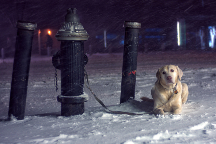 Humans are to blame for the COVID epidemic, say scientists 2