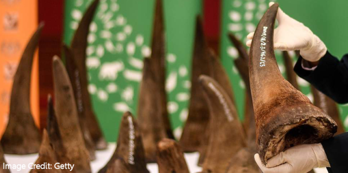 Tiger and rhino products ban