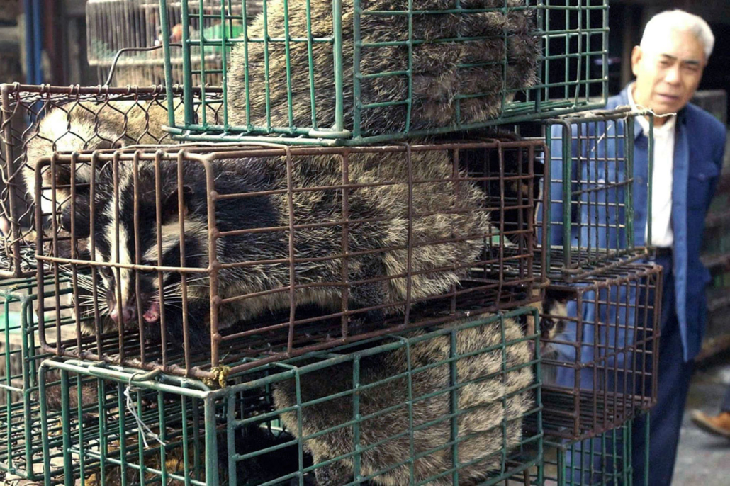 corona-3 Coronavirus 2