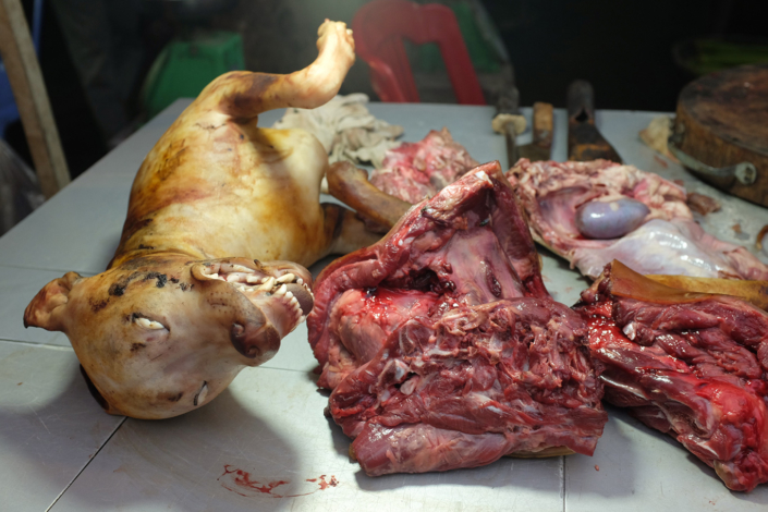 France Finally Bans The Use Of Wild Animals In Circuses and Marine Parks 6