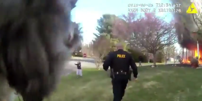 Video shows heroic dog rescue