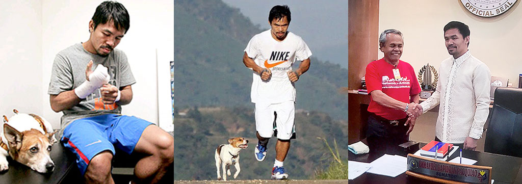 Boxing legend Manny Pacquiao to fight against the dog meat trade 1