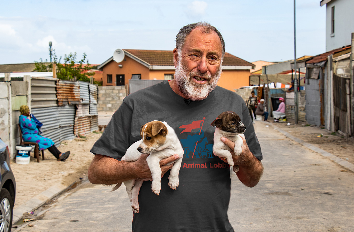 Street dogs in crisis because of cruel corona virus sterilization ban 1