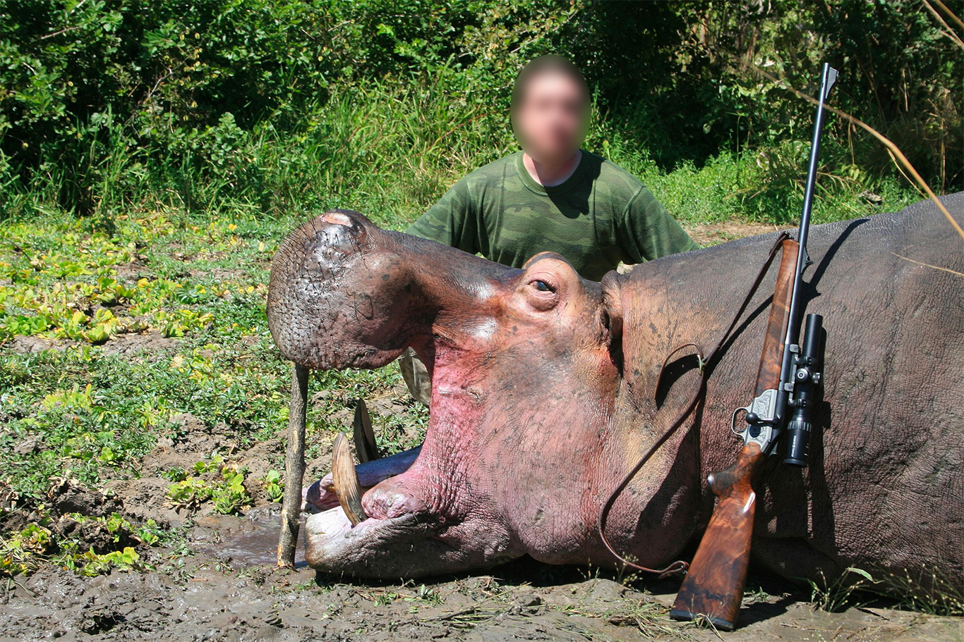 South African Wildlife Under Government Assault, Humans Under Threat 1