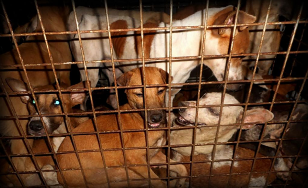 Philippines Court Cases 4