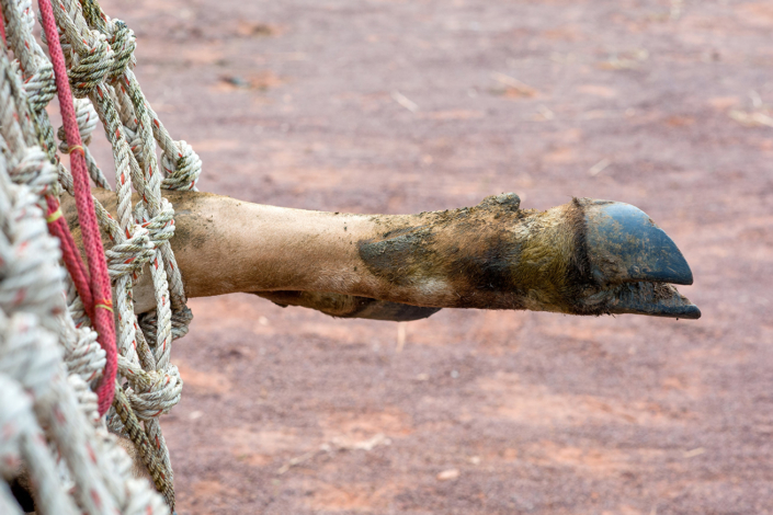 Humans are to blame for the COVID epidemic, say scientists 3