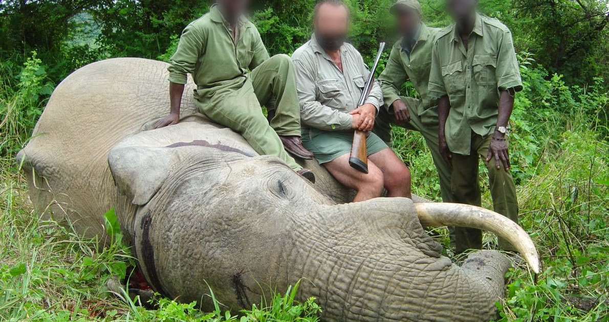 Serial killers and trophy hunters: When the power to cause pain is the only power that matters 3